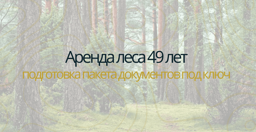 Аренда леса на 49 лет в Колышлейском районе
