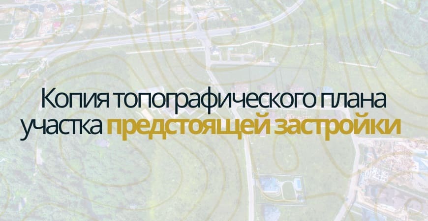 Копия топографического плана участка в Колышлейском районе